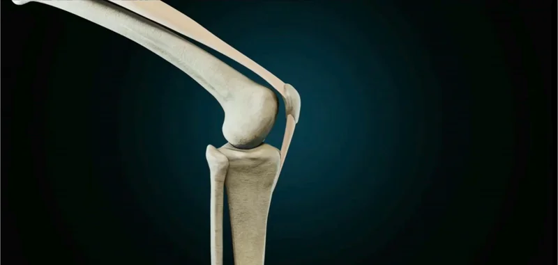 Tesla Optimus’s Novel Knee & Hip Mechanism Design